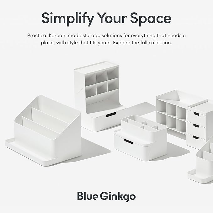 BLUE GINKGO Desk Tray – Korean-Made Organizer for Notes, Pens, Pencils, and Accessories (Double-sided, Green)
