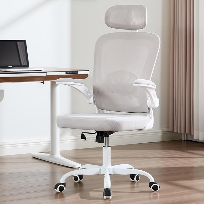 Ergonomic Office Chair with 3D Adjustable Lumbar Support, Mesh High Back, 75° Rotating Headrest, Rocking Function, 300lbs Capacity, Black/White (White)