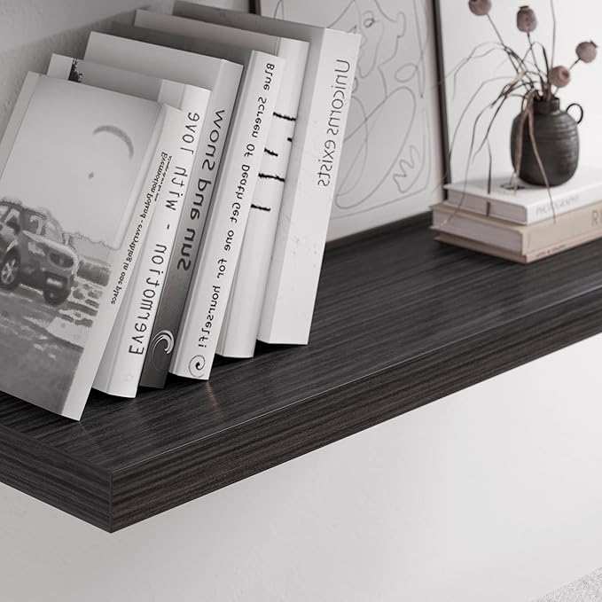 JPND Floating Shelf, Set of 2 Wall Shelf, 24 in W x 12.75 in D x 2 in H Wooden Floating Wall Shelf with Invisible Brackets for Living Room/Bedroom/Bathroom/Kitchen Storage and Decor, Black Wood