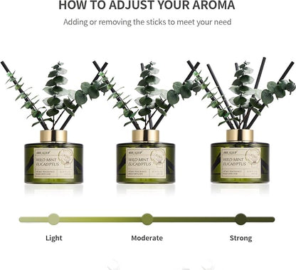 Airkeep Reed Diffuser Set with 6.76 fl oz Wild Mint & Eucalyptus Scent Essential Oils and 3 Leaves & 8 Diffuser Sticks,Bathroom Shelf Decor & Air Freshener, House Bedroom Office Decor & Gifts