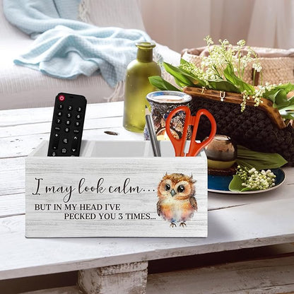 Owl Funny Pen Pencil Holder Organizer for Desk Accessories, I May Look Calm Funny Wooden Box Sign Desk Decor for Home Office Decoration, Owl Lovers Gifts for Women