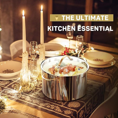 Ciwete Stock Pot 20 Quart, 3 Ply Stainless Steel Stock Pot with Lid, 20 Quart Soup Pot with Copper Handle, Healthy Stockpots, Induction, Oven, Gas and Dishwasher Safe