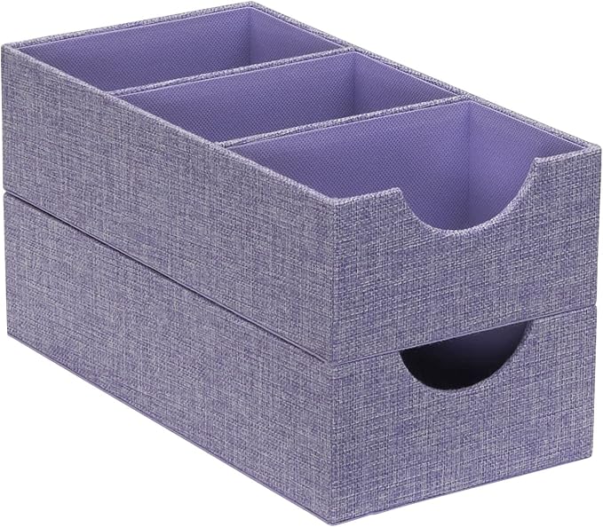 Household Essentials Iris-Colored Cardboard Trays with PP Accents, Set of 2