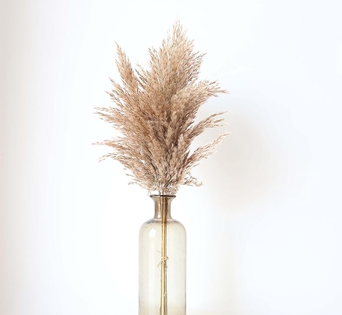100 Stems Dried Pampas Grass, Boho Table Decor Natural Reed Phragmites Grass, Fluffy Large Pampas Grass, Bunny Tails Flowers Bouquet for Wedding Floral Arrangements Farmhouse Home, Wall Rustic Party