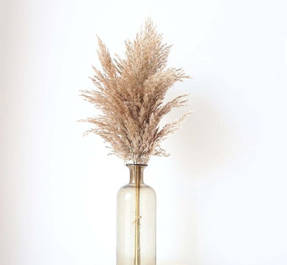 100 Stems Dried Pampas Grass, Boho Table Decor Natural Reed Phragmites Grass, Fluffy Large Pampas Grass, Bunny Tails Flowers Bouquet for Wedding Floral Arrangements Farmhouse Home, Wall Rustic Party