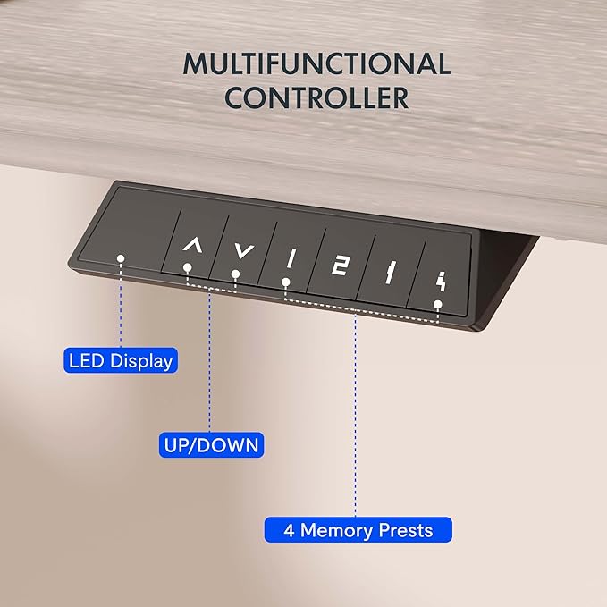 FLEXISPOT EN1 One-Piece Standing Desk with 1-Inch Thick Desktop, 48"x24" Electric Height Adjustable Desk for Home Office & Multi-Device Workstations, Gray Wood