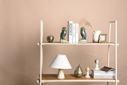 Kakizzy Book Ends for Shelves, Owl Decorative Bookends Bronze Bird Book Stopper Unique Kids Book Holders with Anti-Slip Base Luxurious Bookends for Kids Rooms Office Home Decor(Bronze)