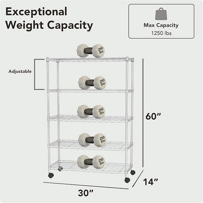 Displays By Jack 5 Tier Heavy Duty Wire Shelving Unit Storage Rack for Products Plant Pantry, Garage, Laundry Racks Durable Shelf Organizer Shelves Stand 14" W x 30" L x 60" H, Chrome
