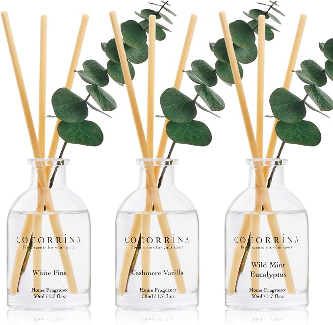 COCORRÍNA Eucalyptus Reed Diffuser Set of 3 - Wild Mint & Eucalyptus, White Pine, Cashmere Vanilla Scents, 1.7 fl oz Each, Total 5.1 oz, Scented Oil Diffusers for Home & Office