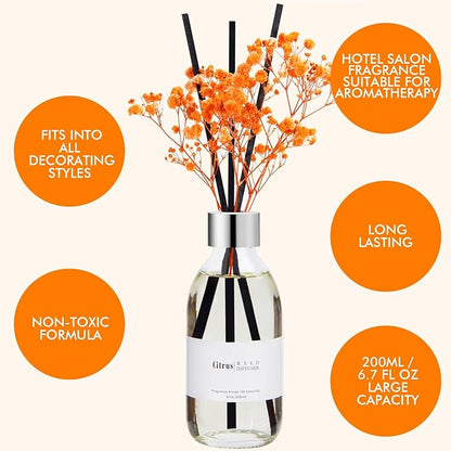 Clesh Reed Diffuser Set, 6.7 oz Citrus Scented Diffuser with Sticks, Home Fragrance Reed Diffuser for Bathroom Shelf Decor