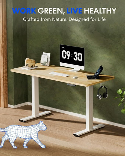 FLEXISPOT EN1 Solid Wooden One-Piece Standing Desk, 63 x 24 Inches Sit Stand Home Office Desks, Sustainable Sturdy and Stable (White Frame + Rubber Wood Top, 2 Packages)