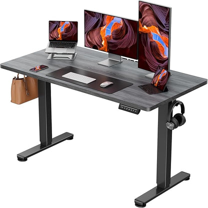 ErGear Height Adjustable Electric Standing Desk, 48 x 24 Inches Sit Stand up Desk, Memory Computer Home Office Desk with Two-Piece Desktop (Grey)