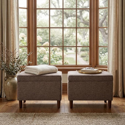 Spatial Order Home Decor | Dinah Collection Modern Storage Ottoman | Ottoman with Storage for Living Room & Bedroom (Chocalate Brown)