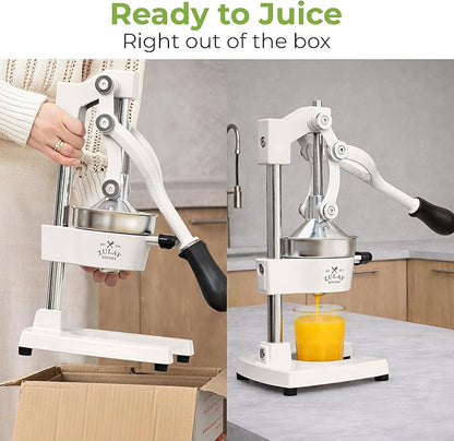 Zulay Kitchen Cast Iron Juicer - Heavy Duty Manual Juicer with Detachable Strainers for Easy Cleaning, Orange Juice Press for Citrus Fruits, Perfect for Bartenders, Juice Lovers & Health Enthusiasts