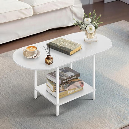 White Coffee Tables for Living Room,Mid Century Oval Center Table with Storage Shelf and Wood Tabletop,2-Tier Modern Narrow Cocktail Tea Table for Small Space,Small Apartment