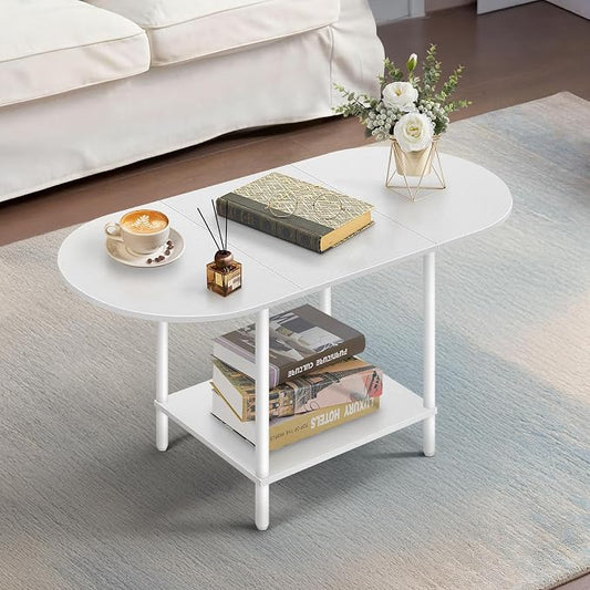 White Coffee Tables for Living Room,Mid Century Oval Center Table with Storage Shelf and Wood Tabletop,2-Tier Modern Narrow Cocktail Tea Table for Small Space,Small Apartment