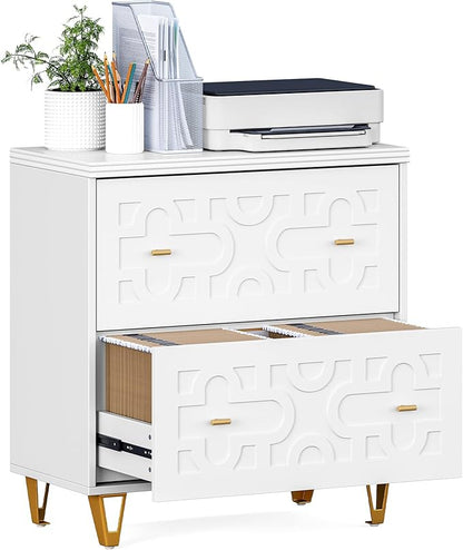 LITTLE TREE 2-Drawer File Cabinet, Under Desk Office Storage Cabinet for Letter Size File Folders with Tabs, Printer Stand, Fitting A4, Modern Home Office Organizer, White