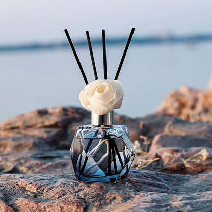 Brakula Reed Diffuser Set, 6.09 fl oz (180 ml)-Eucalyptus & Wild Mint with 8 Reed Sticks, Home Fragrance Reed Diffuser for Bathroom Shelf Decor