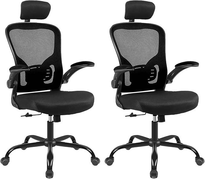 Ergonomic Office Desk Chair 2Pack- Mesh Home Office Desk Chairs with Lumbar Support & 3D Adjustable Armrests,Executive Rolling Chair(2Pack Office Chair)