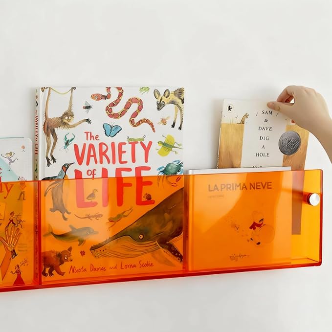 ROYALITA 2-Pack Acrylic Magazine Holder Brochure Holder, 36" Record Holder Magazine Rack, Fashion Hanging Bookshelf Literature Storage Rack for Waiting Room, Living Room, Office