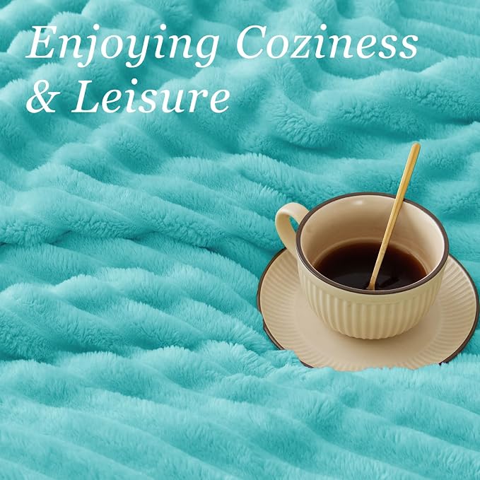 BEDELITE Fleece Throw Blanket for Couch - 300GSM Soft & Warm Fluffy Aqua Blanket, Decorative and Giftable Striped Blankets for Women, Men, 50"x60"
