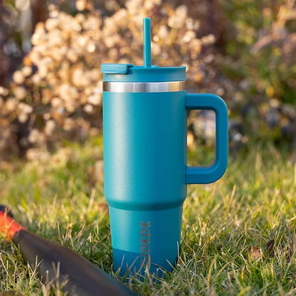 BJPKPK 30 oz Insulated Tumbler With Lid And Straw Stainless Steel Tumblers Cup With Handle For Women And Men,Laguna