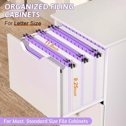 Nordun Extra Capacity Plastic Hanging File Folder Letter Size,12 Pack Reinforced Hang Folders with Heavy Duty 2 Inch Expansion,Durable Hanging Organizer Designed for Bulky Files, Medical Charts