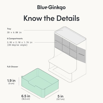 BLUE GINKGO Hive Desk Organizer – Vertical 6-Compartment, Full-drawer Storage – Space-Saving Pen Holder, Stationery Storage – Organizer for Office, School Supplies, Makeup (Made in Korea, Green)