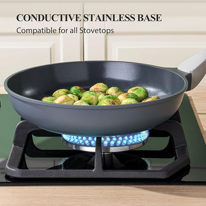 PRICUSIS Nonstick Ceramic Frying Pan with Lid, Non Toxic Skillet, Healthy Egg & Omelet & Chef's Skillet, PTFE PFOA & PFAS Free, Induction Compatible. (10Inch W/L)