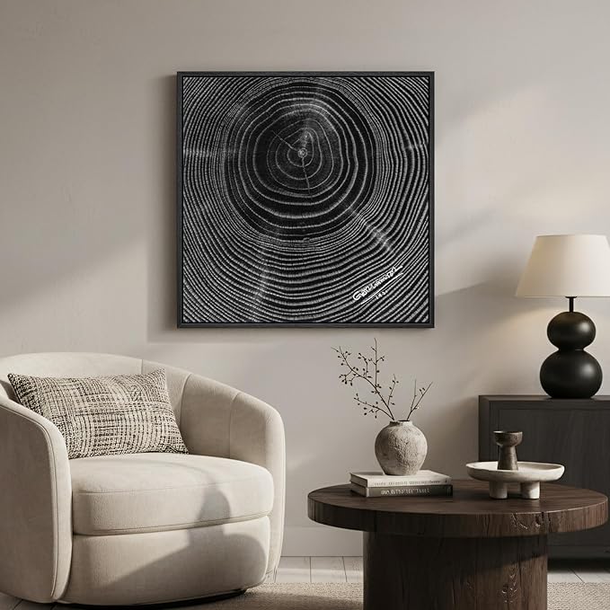 Framed Black and White Abstract Wall Art, 1 Piece Square Modern Canvas Prints Artwork for Walls, Minimalist Abstract Tree Ring Pictures for Bedroom Dining Room Lounge Living Room Wall Decor 24x24 In