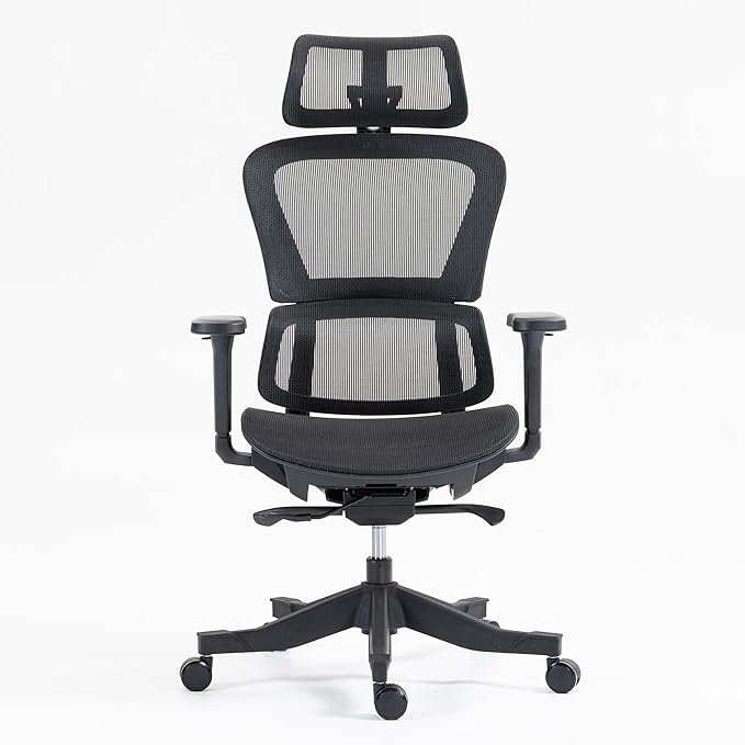 Ergonomic Office Chair with Independent Lumbar Support, Adjustable Height & 360° Swivel for Home Office Workstation (Black)