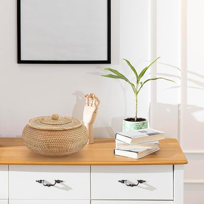 Hipiwe Round Rattan Boxes with Lid Natural Woven Storage Basket Bin Multi-Purpose Wicker Tray Weaving Decorative Shelf Basket Farmhouse Picnic Bread Fruit Table Storage Basket