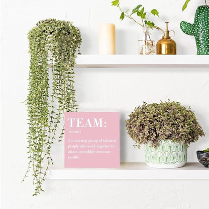 Inspirational Team Noun Office Decor Desk Decor Wooden Box Sign Rustic Pink Wood Block Plaque Box Sign for Home Office Desk Shelf Table Decoration Coworker Gift Team Definition Teamwork Sign