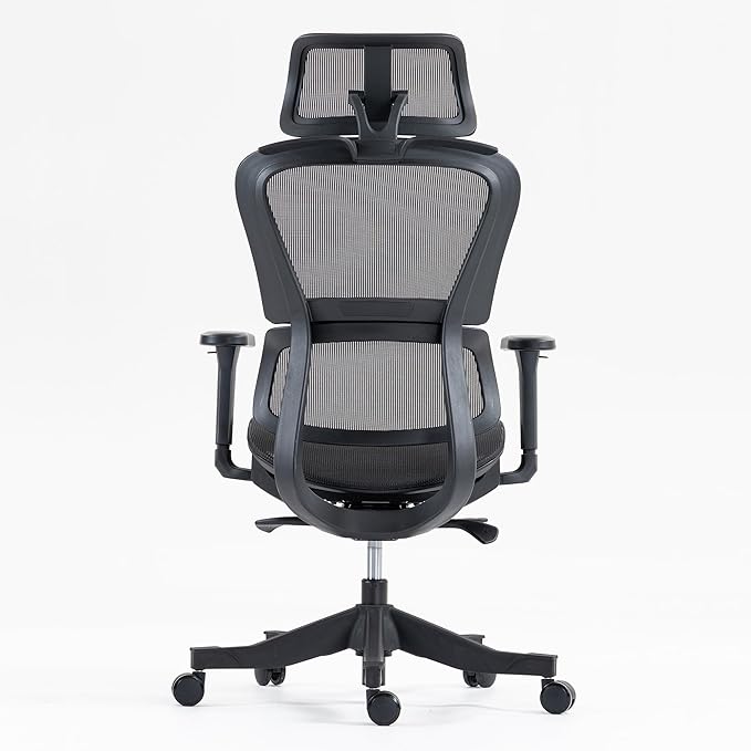 Ergonomic Office Chair with Independent Lumbar Support, Adjustable Height & 360° Swivel for Home Office Workstation (Black)