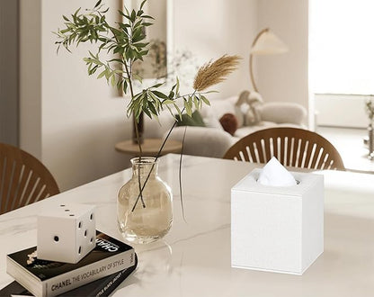 Colylan Tissue Box Cover Square Tissue Box Holder for Bathroom (Beige)