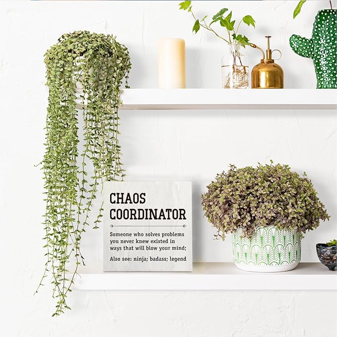 HTBIG Chaos Coordinator Thank You Gifts Office Decor Funny Motivational Desk Decor Gifts for Coworkers Boss Manager Appreciation Rustic Wooden Box Sign for Table Top Office Bookshelf White