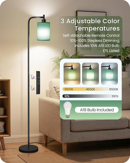 Dimmable Floor Lamp for Living Room with Remote and Foot Switch, Modern Standing, Corner Lamp,10W Bulb 3 Color Temperatures, for Bedroom, Office, Corner, ETL Listed, Black and Green J19LD05