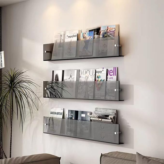 ROYALITA 2-Pack Acrylic Magazine Holder Brochure Holder, 24" Record Holder Magazine Rack, Fashion Hanging Bookshelf Literature Storage Rack for Waiting Room, Living Room, Office, Gray, 24 Inch