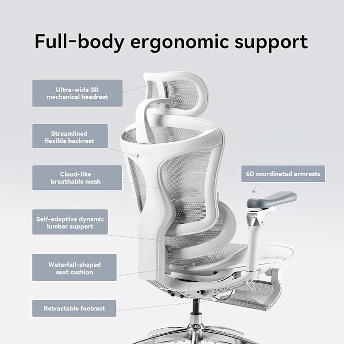SIHOO Doro C300 Pro Ergonomic Office Chair with Footrest, Ultra-Soft 6D Armrests, Dynamic Lumbar Support, and Seat Depth Adjustment for Office (Grey)