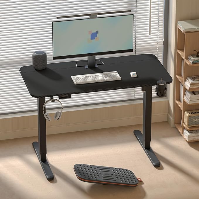 Electric Standing Desk with Cable Management Tray,48x24 Inch Adjustable Height Sit Stand Desk,with Memory Presets & Anti-Collision Computer Desk,for Office,Home,Black Top&Black Frame