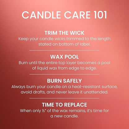 Yankee Candle Large Tumbler Scented Candle with up to 80 Hour Burn Time, Premium Plant Wax Blend for Consistent Burn, 20 oz Tumbler Candle with Room Filling Fragrance, Apple Pumpkin