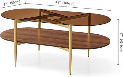 Oval Glass Coffee Table, Mid-Century Modern Design, L42*W22*H17 inch, for Living Room, Amber Glass Top and Walnut Finish Wood Shelf, Conical Metal Legs with Gold Finish