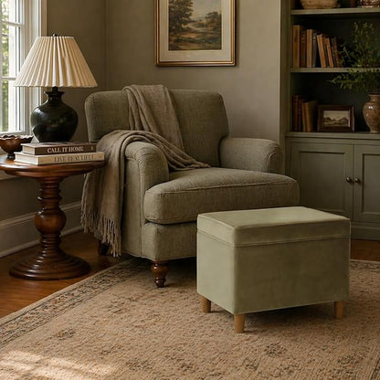 Spatial Order Home Decor | Dinah Collection Modern Storage Ottoman | Ottoman with Storage for Living Room & Bedroom(Light Sage Green Velvet)