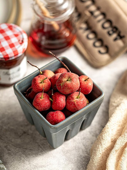 Gomakren Fruit Basket Set of 2, Square Fruit Bowls with Holes, Ceramic Berry Basket Storage Containers for Kitchen Fridge, Cute Strawberry Basket for Berries, Grape, Cherry, Slate Blue