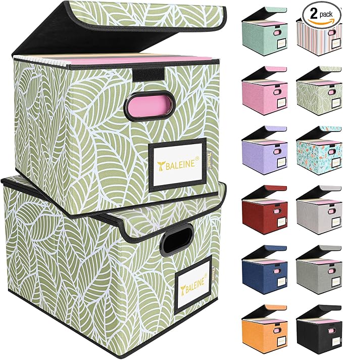 BALEINE File Organizer Box with Lid, Collapsible File Folder Organizer with Plastic Slide, Hanging File Folder Box for Office Document Storage (2 Pack, Antique Foliage)