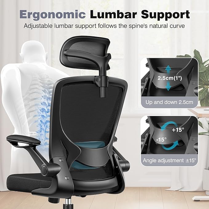 Ergonomic Office Desk Chair Comfy, High Back Mesh Office Desk Chairs with Adjustable Lumbar Support, Headrest, Flip-up Armrests, Home Computer Chair for Gaming, Work, 2 Pack