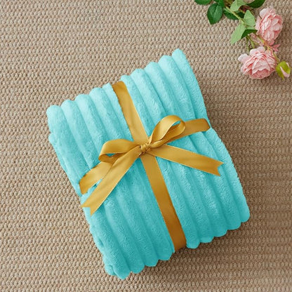 BEDELITE Twin Blanket for Couch & Bed, 300GSM Soft & Warm Fleece Blanket, Decorative and Giftable Striped Aqua Blankets for Women, Men, 60"x80"