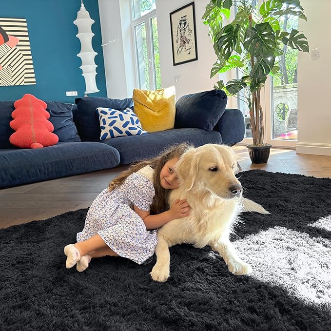 OLANLY 10x14 Machine Washable Large Area Rugs for Living Room, Bedroom, Soft Fluffy Shaggy Bedside Rug, Indoor Floor Carpet for Kids Girls and Boys, Dorms, Nursery, Home Decor Aesthetic, Black