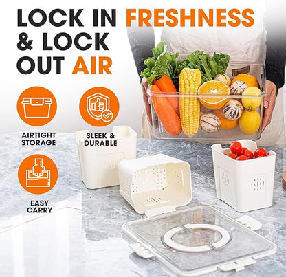 Cheer Collection Fruit Organizer for Refrigerator – 4-Compartment Produce Saver with Lid & Handle, Fruit and Veggie Storage Containers, Produce Containers for Fridge Organization & Storage