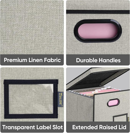 BALEINE File Organizer Box with Lid, Collapsible File Folder Organizer with Plastic Slide, Hanging File Folder Box for Office Document Storage (Tab Friendly, 1 Pack, Beige)